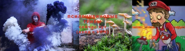 дмт Приозерск