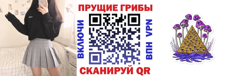 Псилоцибиновые грибы Psilocybine cubensis  Купить закладки  Красный Сулин 